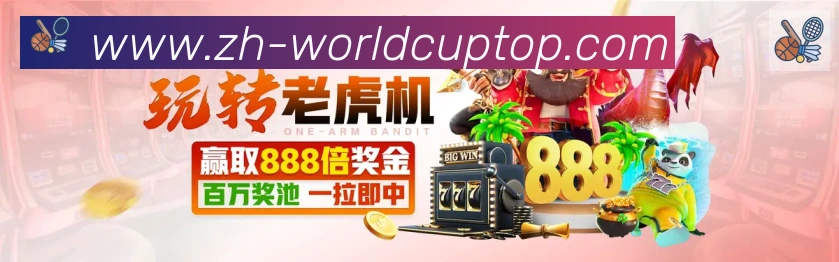 未来规划